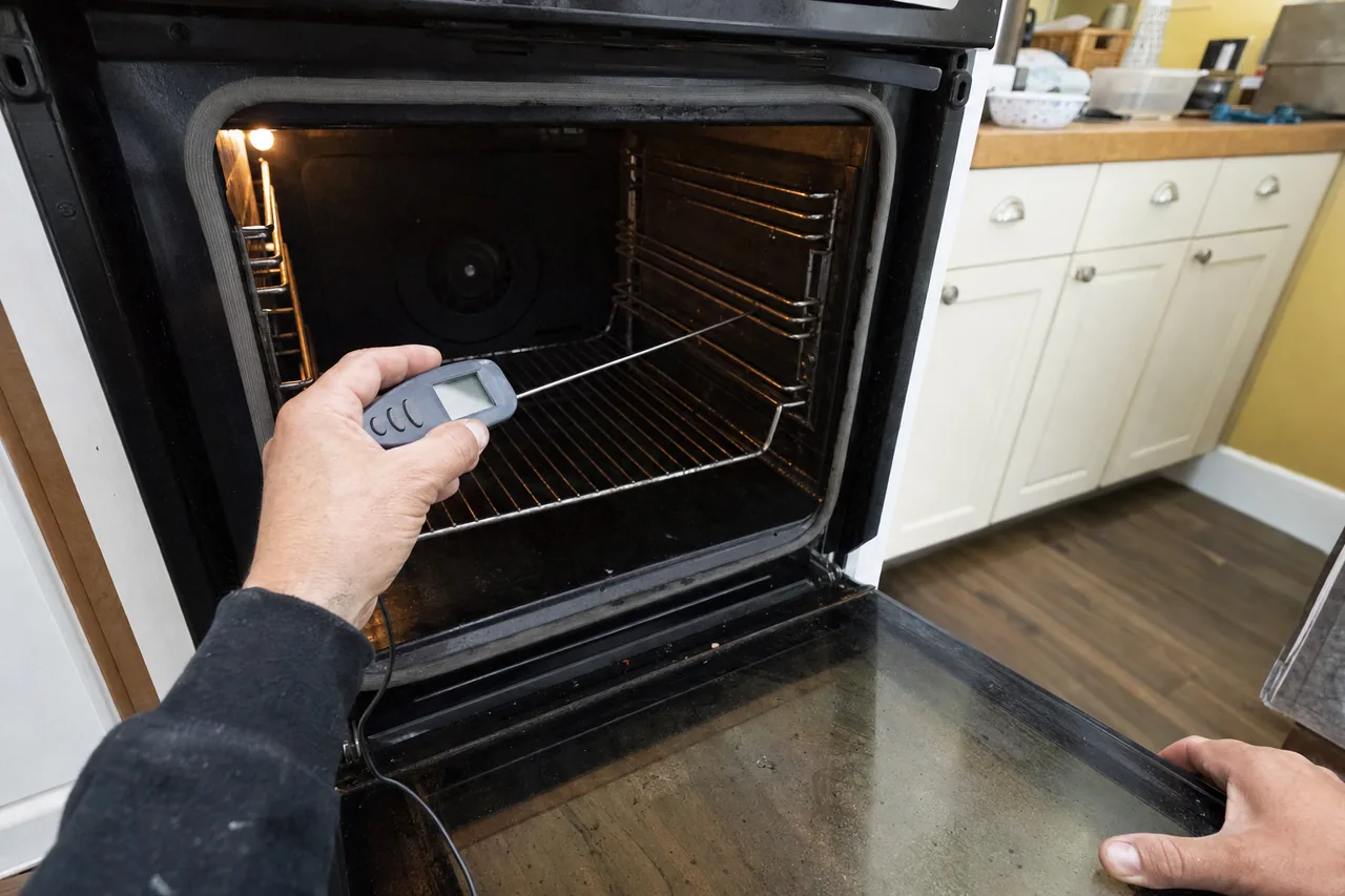 A hand holding a thermometer readout, the probe wire running into the oven cavity
